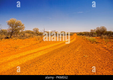 Red Australian outback road slicing through arid landscape cloaked with forest of olive grey mulga trees & stretching to horizon under blue sky Stock Photo