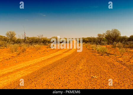 Red Australian outback road slicing through arid landscape cloaked with forest of olive grey mulga trees & stretching to horizon under blue sky Stock Photo