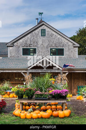 Autumn display, Morning Glory Farm stand, Edgartown, Martha's Vineyard, Massachusetts, USA. Stock Photo