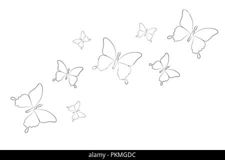 butterfly line drawing isolated on a white background vector illustration  EPS10 Stock Vector Image & Art - Alamy