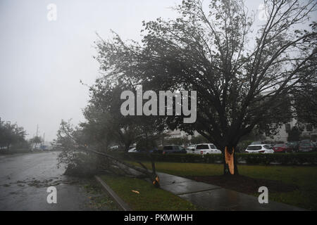 Wilmington, USA. 14th Sep, 2018. A tree is broken in strong storm as Hurricane Florence comes ashore in Wilmington, North Carolina, the United States, on Sept. 14, 2018. Hurricane Florence on Friday morning made landfall in North Carolina coast as Category 1 storm, with gales and rains. Credit: Liu Jie/Xinhua/Alamy Live News Stock Photo