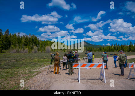 YELLOWSTONE, MONTANA, USA MAY 24, 2018: Unidentified people most them photographers taking pictures and enjoying the landscape of Grand Teton National Park, Wyoming Stock Photo