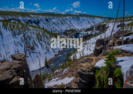 Aerial view of lower falls, most popular waterfall in Yellowstone, are sits in head of the Grand Canyon in the Riverat Yellowstone National Park, Wyoming Stock Photo