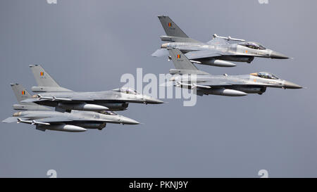 KLEINE BROGEL, BELGIUM - SEP 8, 2018: Formation of four Belgian Air Force F-16 fighter jet planes from 10 Wing over Kleine-Brogel Airbase. Stock Photo