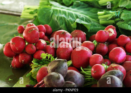 Fresh radishes. Stock Photo