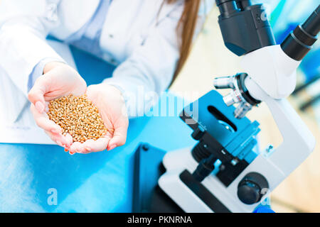 Agriculture research, conceptual image. Stock Photo