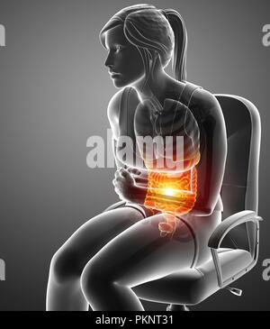 Woman with abdominal pain, computer illustration. Stock Photo