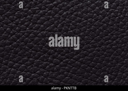 Expensive leather texture in contrast dark colour. Stock Photo