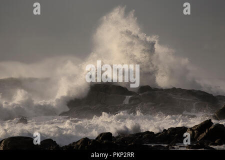 Big stormy breaking waves. Late evening  light. Stock Photo