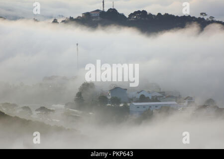 Background with dense fog and pine forest in the dawn, magic of the sky and clouds Stock Photo