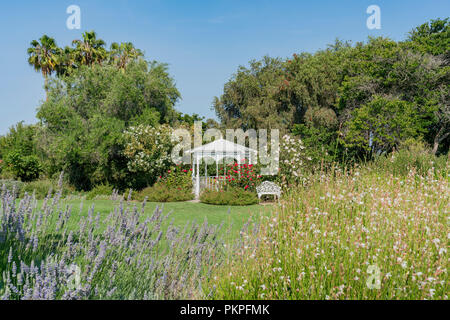 Kisok and flower blossom South Coast Botanic Garden at Los Angeles, California Stock Photo