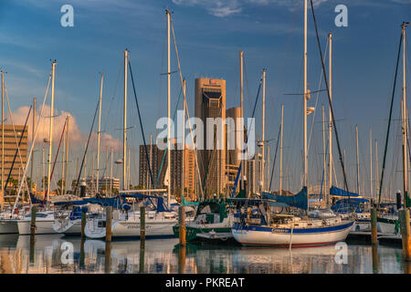 Sailboats at Corpus Christi Marina, Downtown towers in distance, sunrise, Corpus Christi, Texas, USA Stock Photo