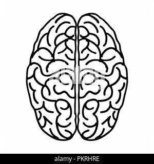 Freehand illustration of an isolated brain seen from above. Black outlines on the white background. Stock Vector