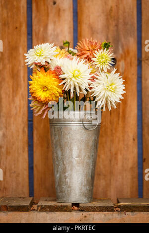 Simple, rustic country style fall autumn Thanksgiving season floral dahlia bouquet in galvanized metal vase home decorations Stock Photo