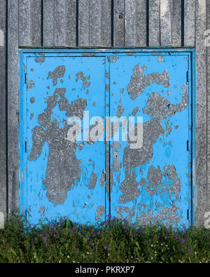 Peeling blue pain on metal door in St Anthony, Newfoundland Stock Photo