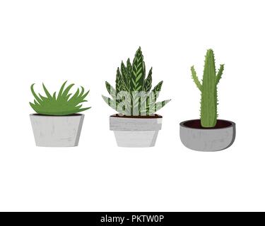 Set of succulents. Houseplants on cement flowerpot. Vector illustration. Stock Vector