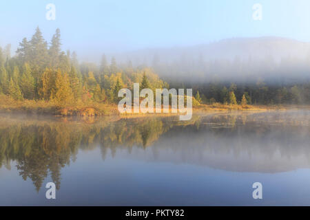 Morning fog, water reflection in the lake, Lac Lajoie, Mont Tremblant National Park, Quebec Province, Canada Stock Photo