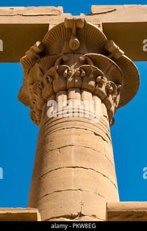 Decorative Palmiform floral pattern at top of temple column against blue sky, Temple of Philae, River Nile, Aswan, Egypt, Africa Stock Photo