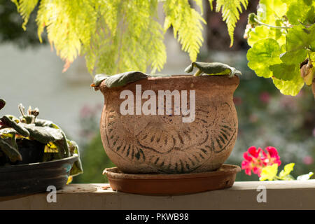 Large clay pots garden decoration. Stock Photo