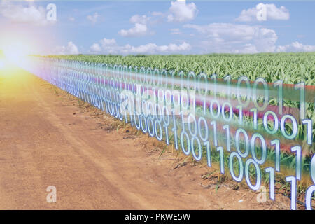 iot smart industry 4.0 digital transformation with artificial intelligence or ai in agriculture concept Stock Photo