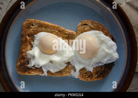 Two poached eggs on toast Stock Photo