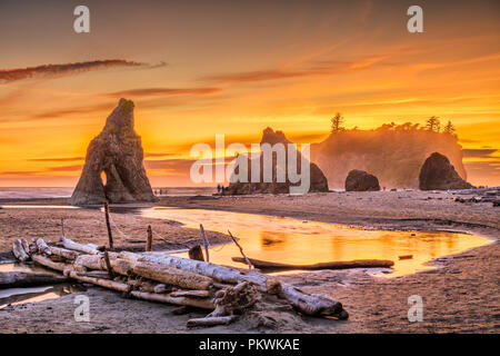 Olympic National Park, Washington, USA at Ruby Beach with piles of deadwood. Stock Photo