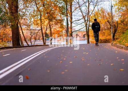Fall in the park. Unrecognizable guy, skater back to us on skateboard, longboard skates along the paths among the many crumbling leaves Stock Photo