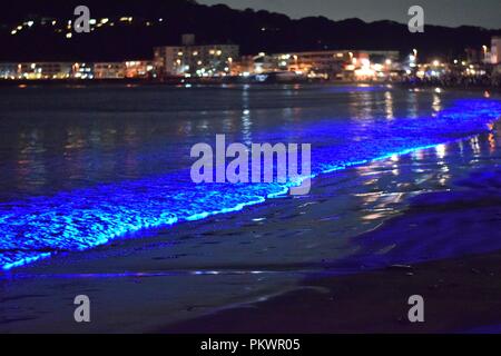 Electric Blue Glow on Pacific Coast Waves or Red Tide. The electric blue glow in these pacific coast waves is caused by a dinoflagellate Stock Photo