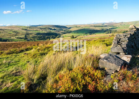 Moorland and rough pasture in the Staffordshire Moorlands area of the Peak District National Park near Gradbach and Flash Stock Photo