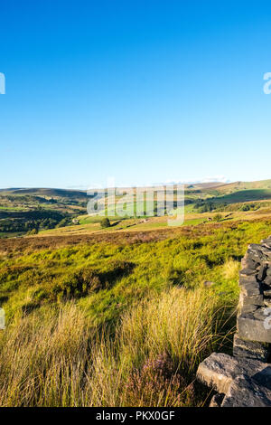 Moorland and rough pasture in the Staffordshire Moorlands area of the Peak District National Park near Gradbach and Flash Stock Photo