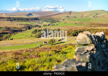 Moorland and rough pasture in the Staffordshire Moorlands area of the Peak District National Park near Gradbach and Flash. Axe Edge in distance Stock Photo