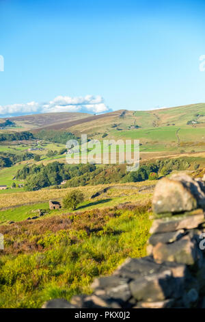 Moorland and rough pasture in the Staffordshire Moorlands area of the Peak District National Park near Gradbach and Flash Stock Photo