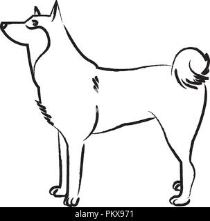 Outline draw dog Stock Vector