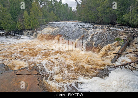 Roaring Waters on a Flooded Lower Tahquamenon Falls in Tahquamenon Falls State Park in Upper Michigan Stock Photo