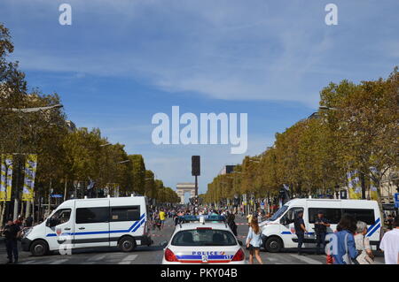 vans champs elysées