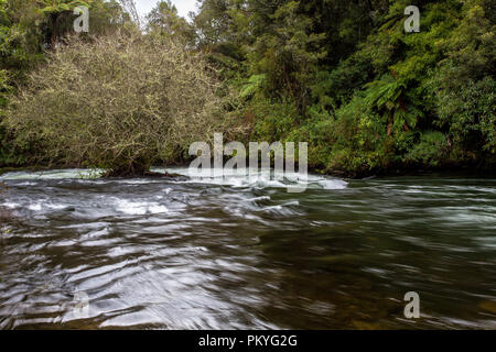 Over looking Kaituna River from viewpoint Stock Photo