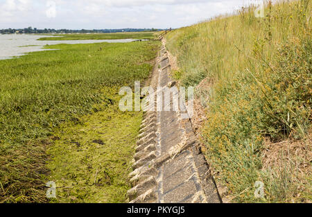 Flood defence river wall River Deben tidal estuary, Sutton, Suffolk, England, UK Stock Photo