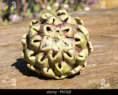 Close up of leaves at top of globe artichoke fruit on wooden table surface Stock Photo