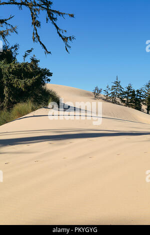 Oregon Dunes National Recreation Area Stock Photo