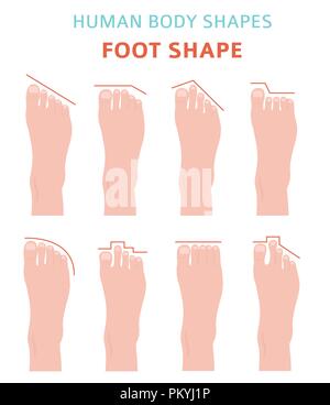 Vector illustration of human feet with toe tag, representing morgue ...