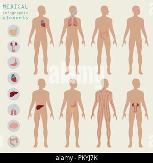 Medical and healthcare infographic, elements for creating infographics. Vector illustration Stock Vector