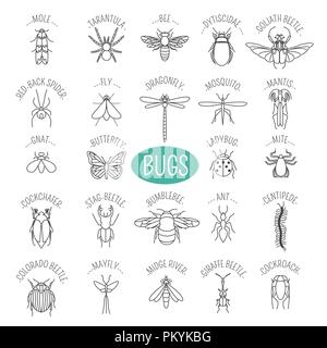 Insects icon flat style. 24 pieces in set. Outline version. Vector illustration Stock Vector