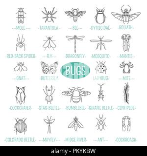 Insects icon flat style. 24 pieces in set. Outline version. Vector illustration Stock Vector