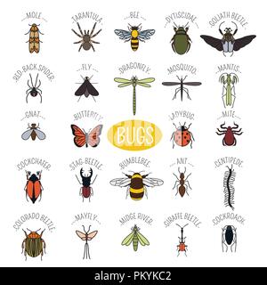 Insects icon flat style. 24 pieces in set. Colour version. Vector illustration Stock Vector