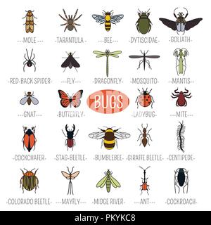 Insects icon flat style. 24 pieces in set. Colour version. Vector illustration Stock Vector