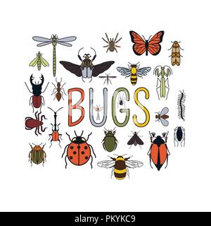 Insects icon flat style. 24 pieces in set. Colour version. Vector illustration Stock Vector