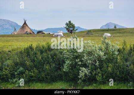 Reindeer herders camp in the natural Park of the Polar Urals. Dwellings of the Nenets on Yamal. Stock Photo