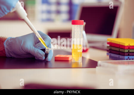 A scientist in a medical laboratory with a dispenser in his hands is doing an genetic analysis samples Stock Photo
