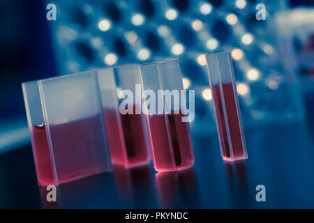 Quartz cuvettes for Chromatography and spectrophotometry in the study of liquids Stock Photo