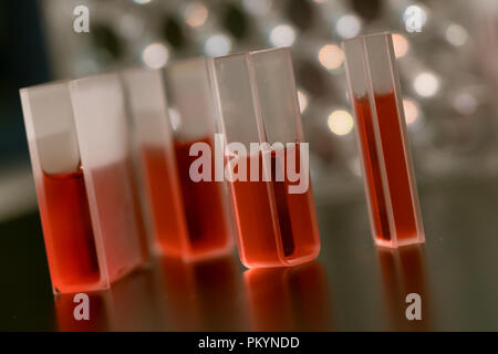 Quartz cuvettes for Chromatography and spectrophotometry in the study of liquids Stock Photo